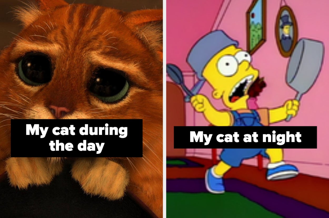 Puss 'n' Boots from "Shrek" big eyes captioned "My cat during the day" and Bart Simpson banging pots and pans captioned "my cat at night"