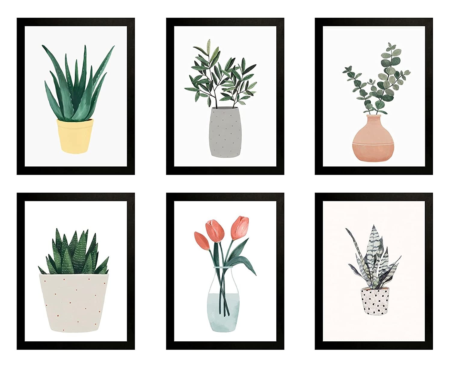 Prints of succulents, and flowering plants