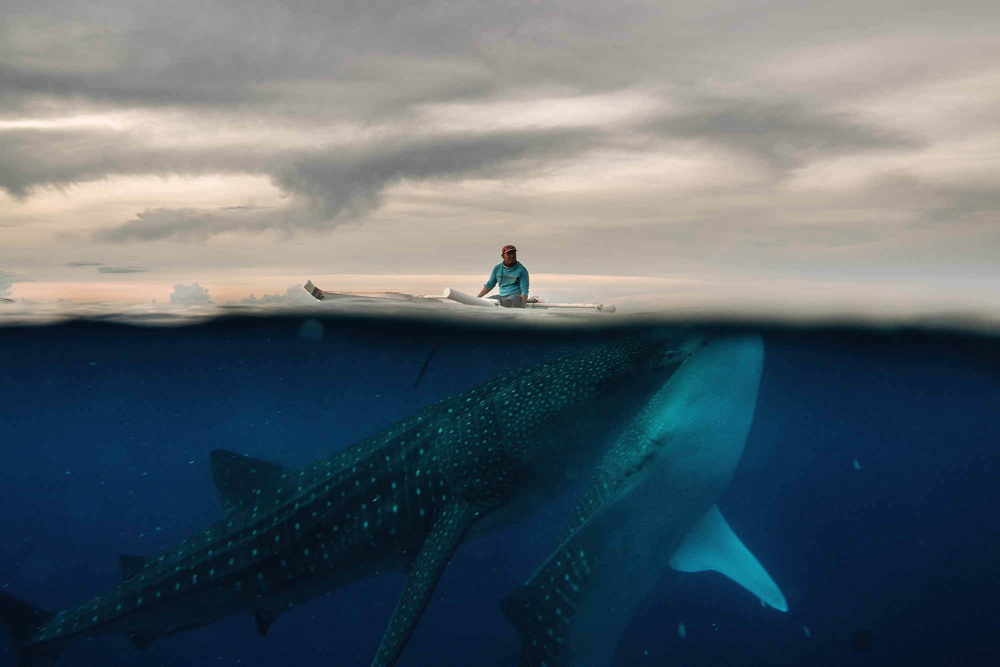 Two whales seen underwater beneath a man in a boat on the surface