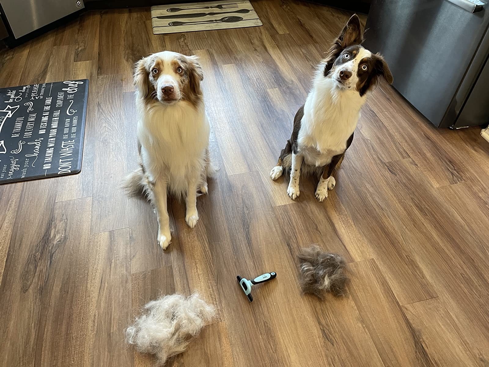 Two big piles of dog hair next to the pet grooming brush on the ground, and the two freshly groomed dogs sitting nearby