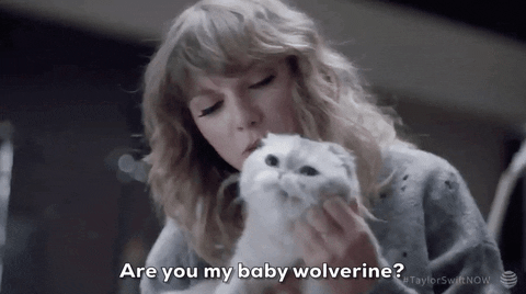 13 Cute Animal GIFs To Console You When Your Movie Doesn't Win