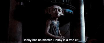Dobby saying, Dobby has no master, Dobbi is a free elf