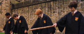 Ron being hit in the face with a broom