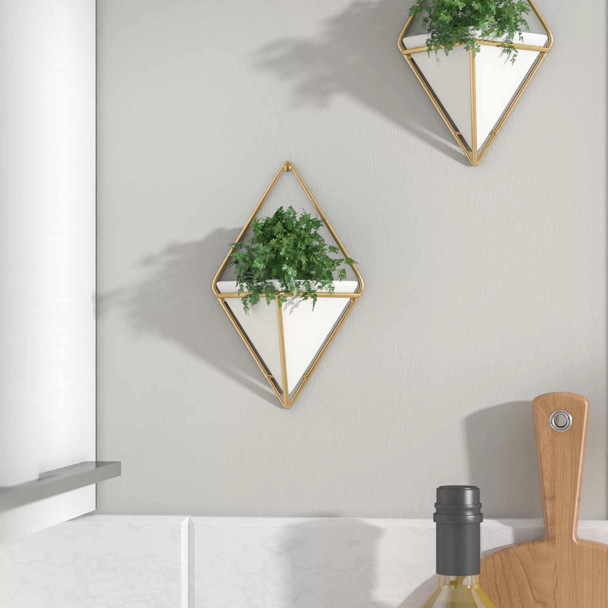 two floating wall plants