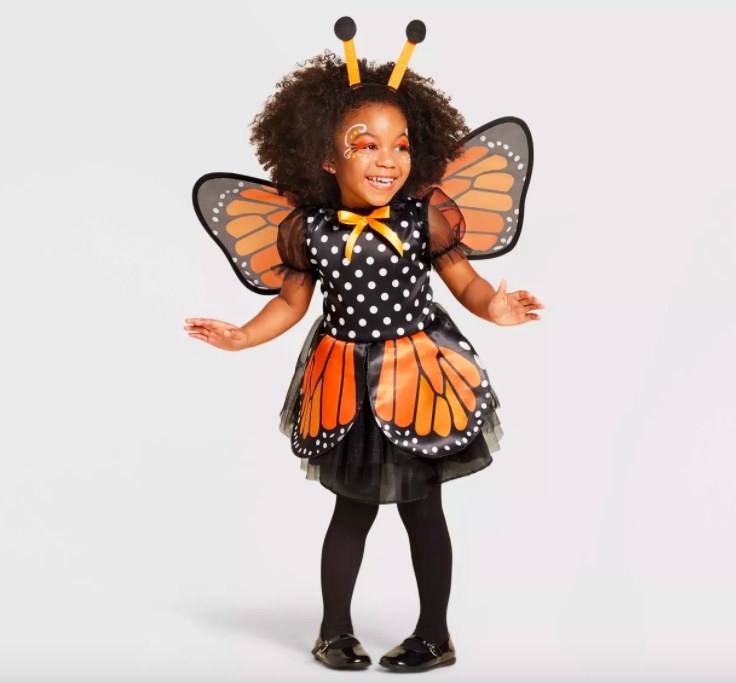 Toddler wearing butterfly costume.