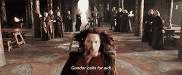 GIF of Viggo Mortensen as Aragorn in Lord of the Rings, saying &quot;Gondor calls for aid!&quot;