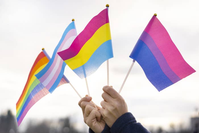 Two hands holding four different pride flags in the air