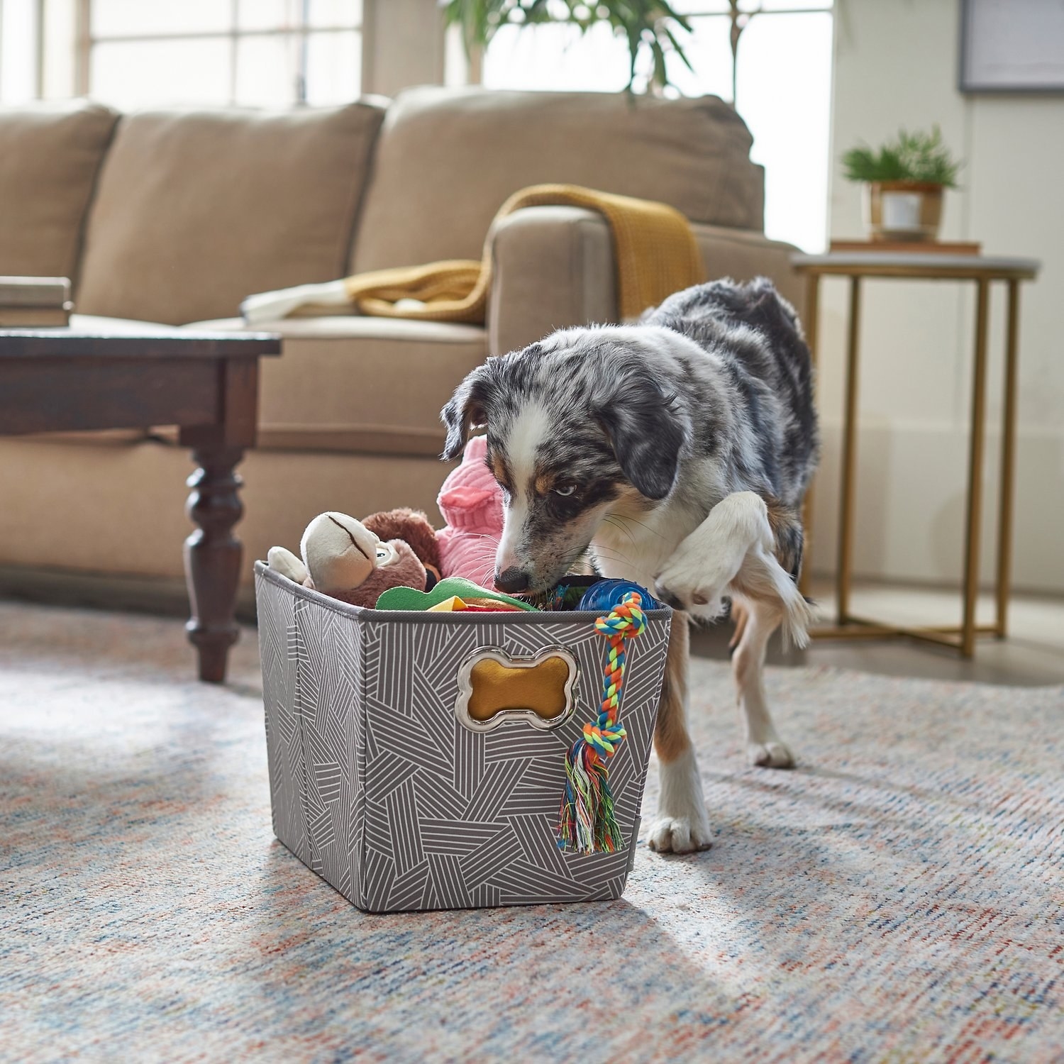Dog enjoying the collapsible pet storage bin