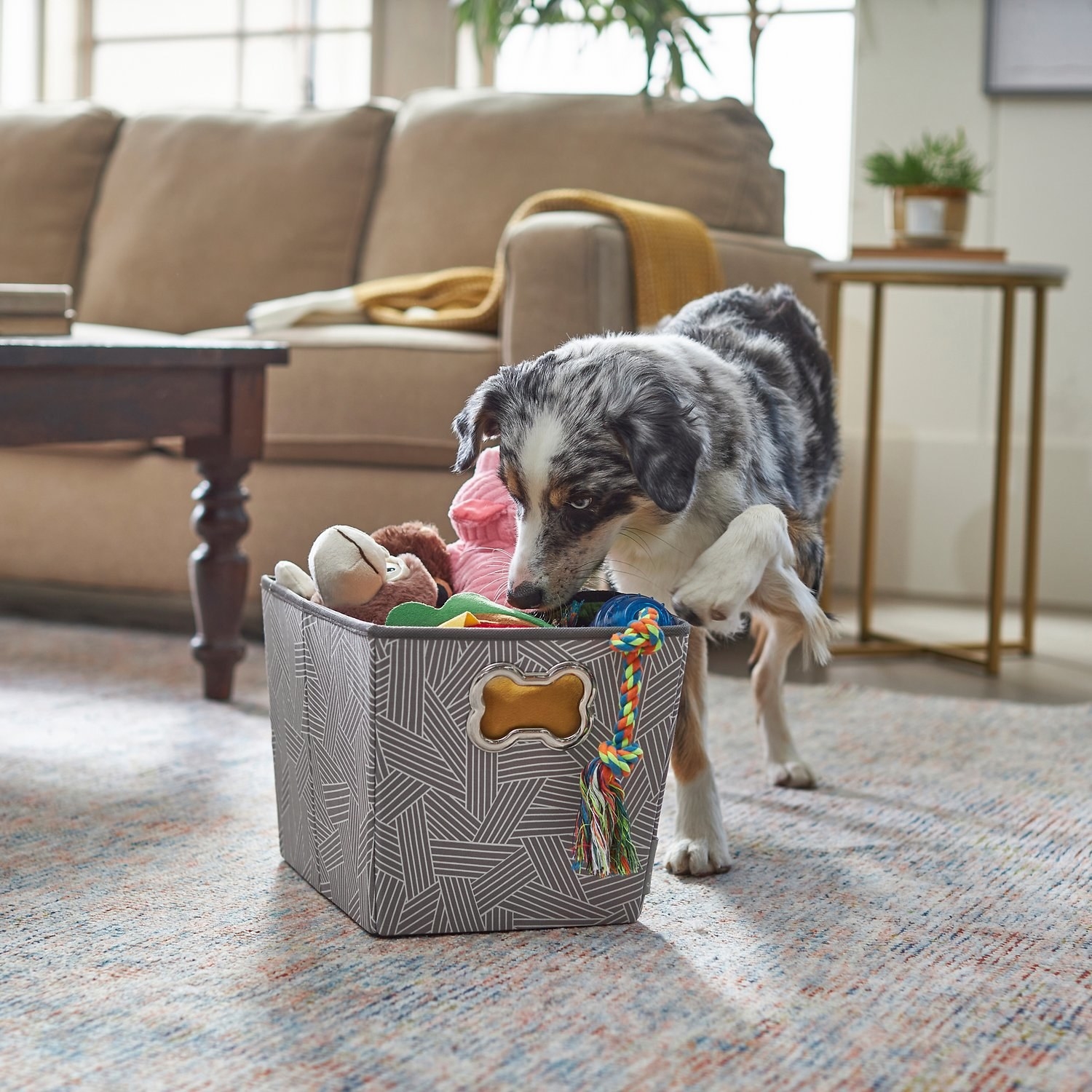 Dog enjoying the collapsible pet storage bin