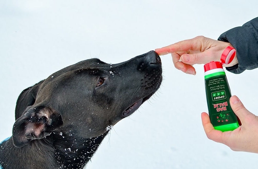 Dog enjoying the pet nose, paw and hot spot moisturizer