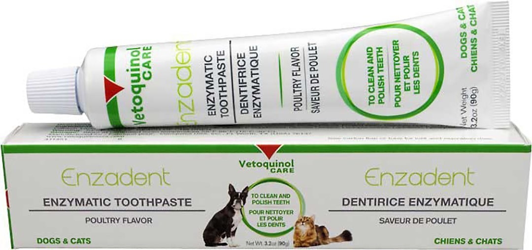 The toothpaste for dogs and cats