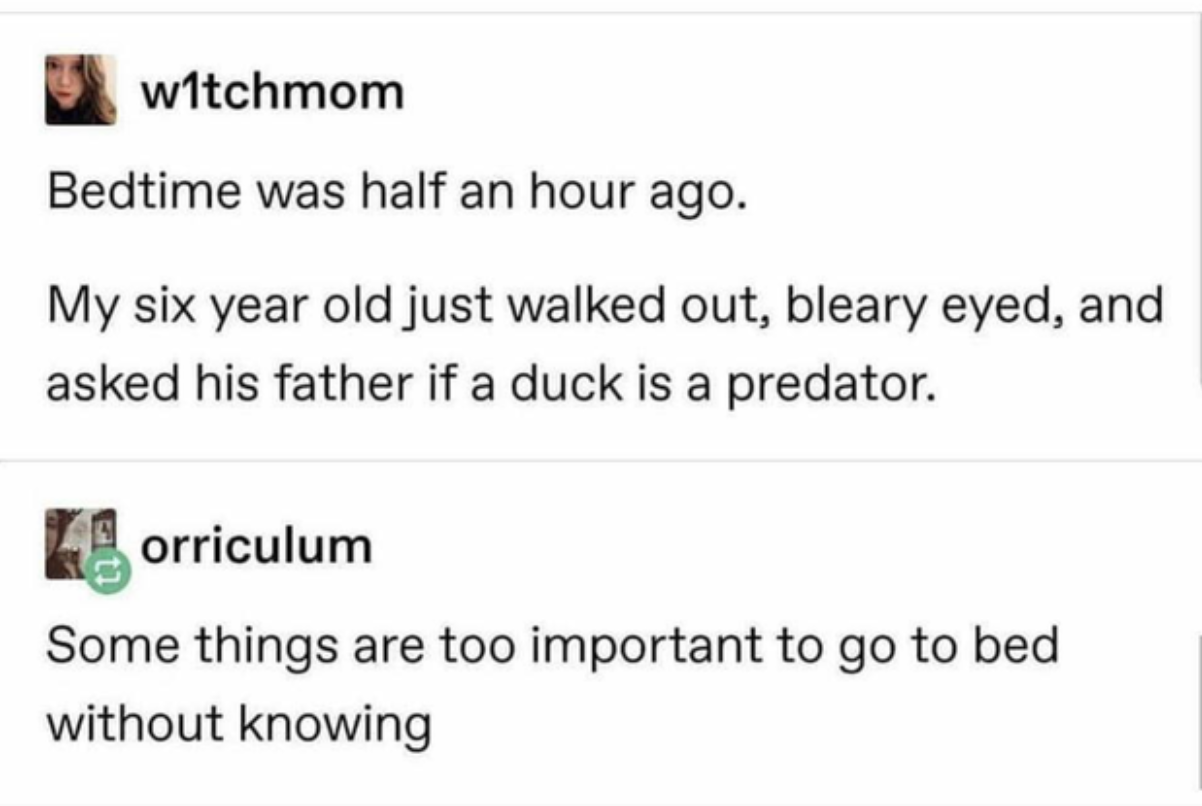 a child asks if a duck is a predator late at night