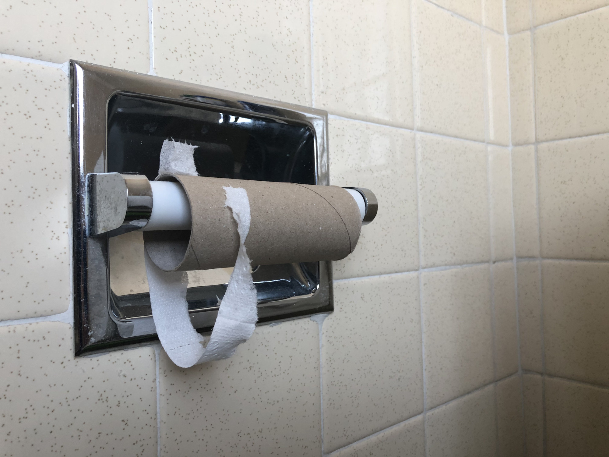 An empty toilet roll in a bathroom stall.