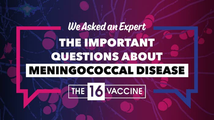 Text: "We asked an expert the important questions about meningococcal disease. The 16 vaccine"