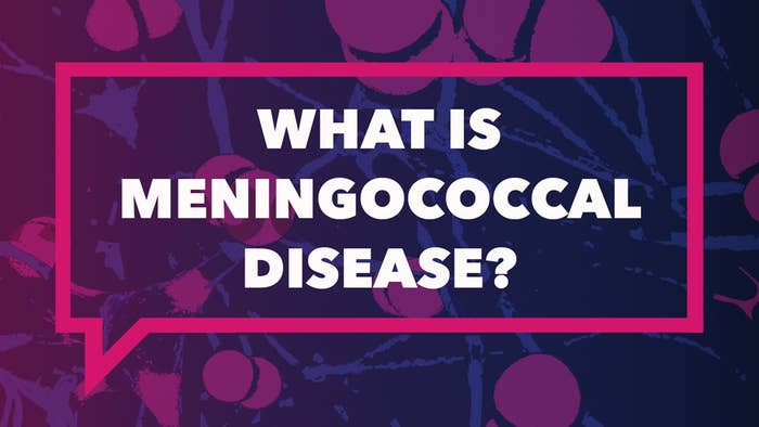 Text: What is meningococcal disease?