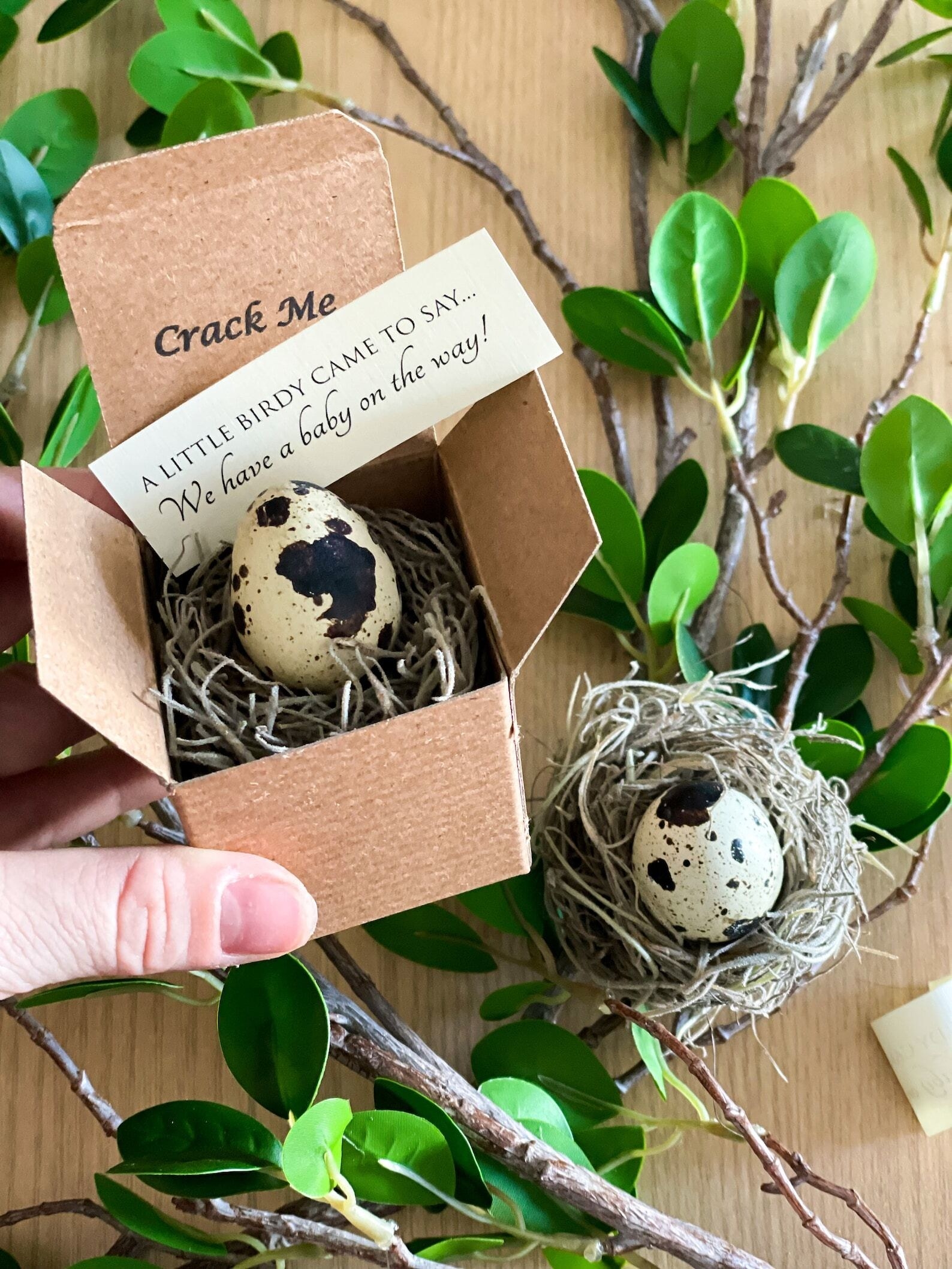 palm-sized box with a mini speckled egg and nest inside. it has a note that says a little birdy came to say we have a baby on the way.