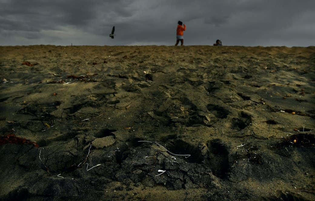 Closeup view of the beach with black oil mixed in with sand