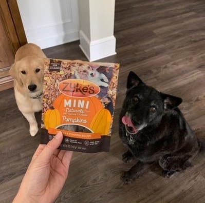 Reviewer's photo of the dog treats
