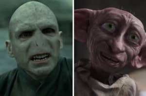 Voldemort is on the left smiling with Dobby on the right