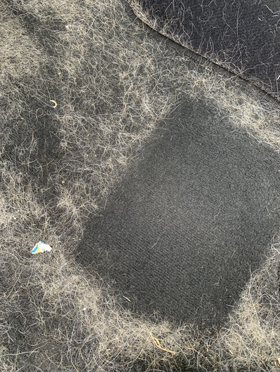 A customer review photo of their car mat covered in dog hair except for one area where they used the roller