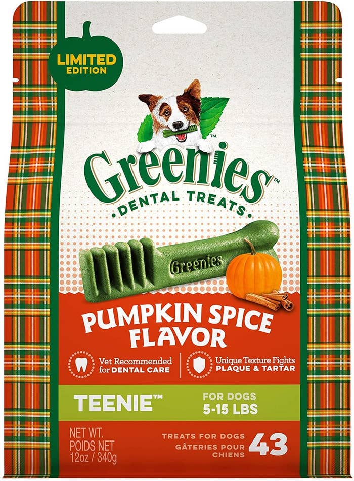 Pumpkin spice greenies dental treats for dogs