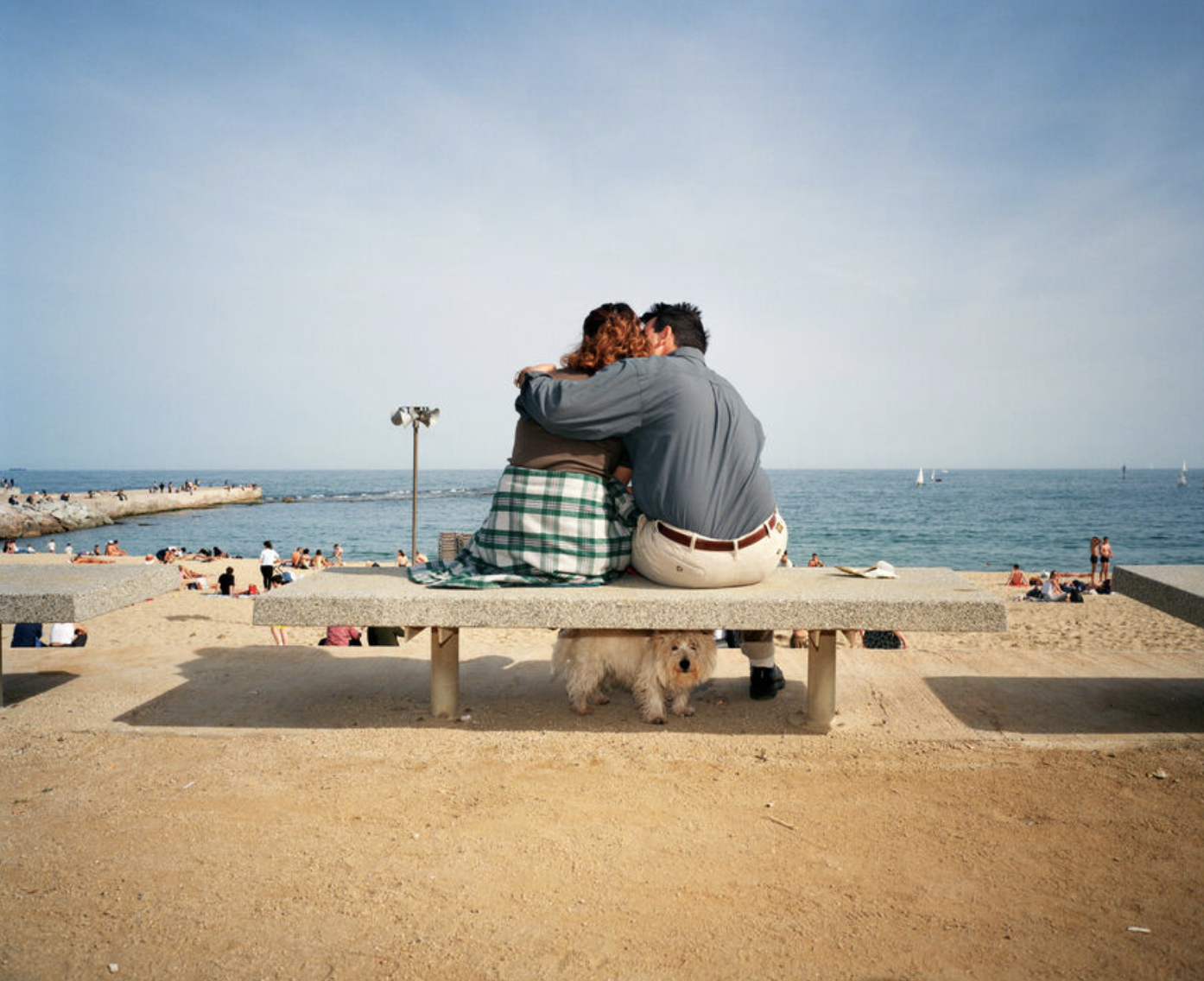 A couple is seen embracing on a bench near the beach as a small dog sits under the bench