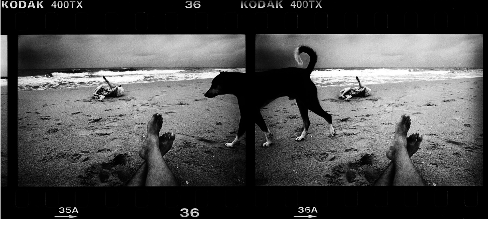 Film strip photos of a dog on a beach and people&#x27;s feet