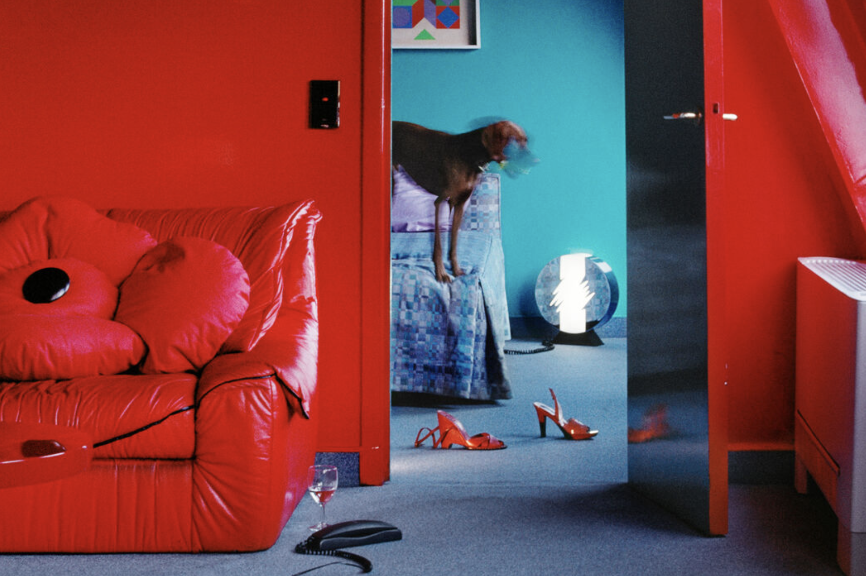 Dog stands on a hotel room bed in a red painted room in Paris