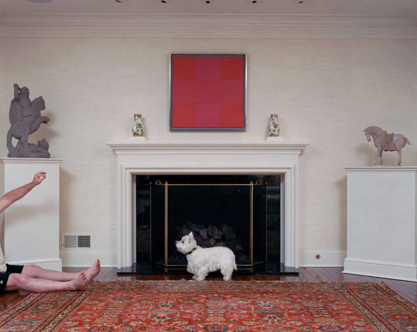 Small white dog stands in front of a fireplace as a person on the left side holds a treat in the air