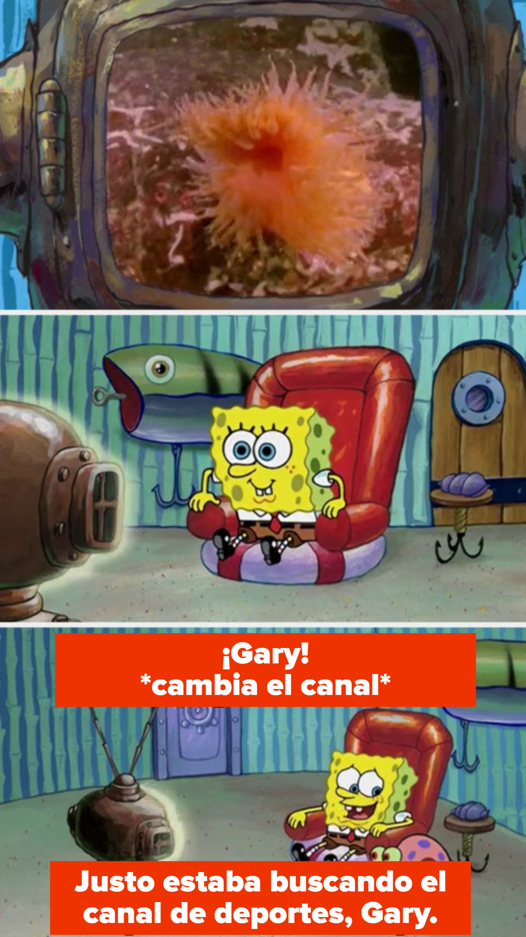 Spongebob rapidly changes the channel when Gary walks in