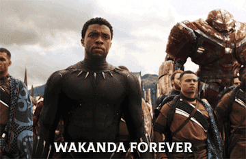 T&#x27;Challa yelling &quot;wakanda forever!&quot; on the battlefield