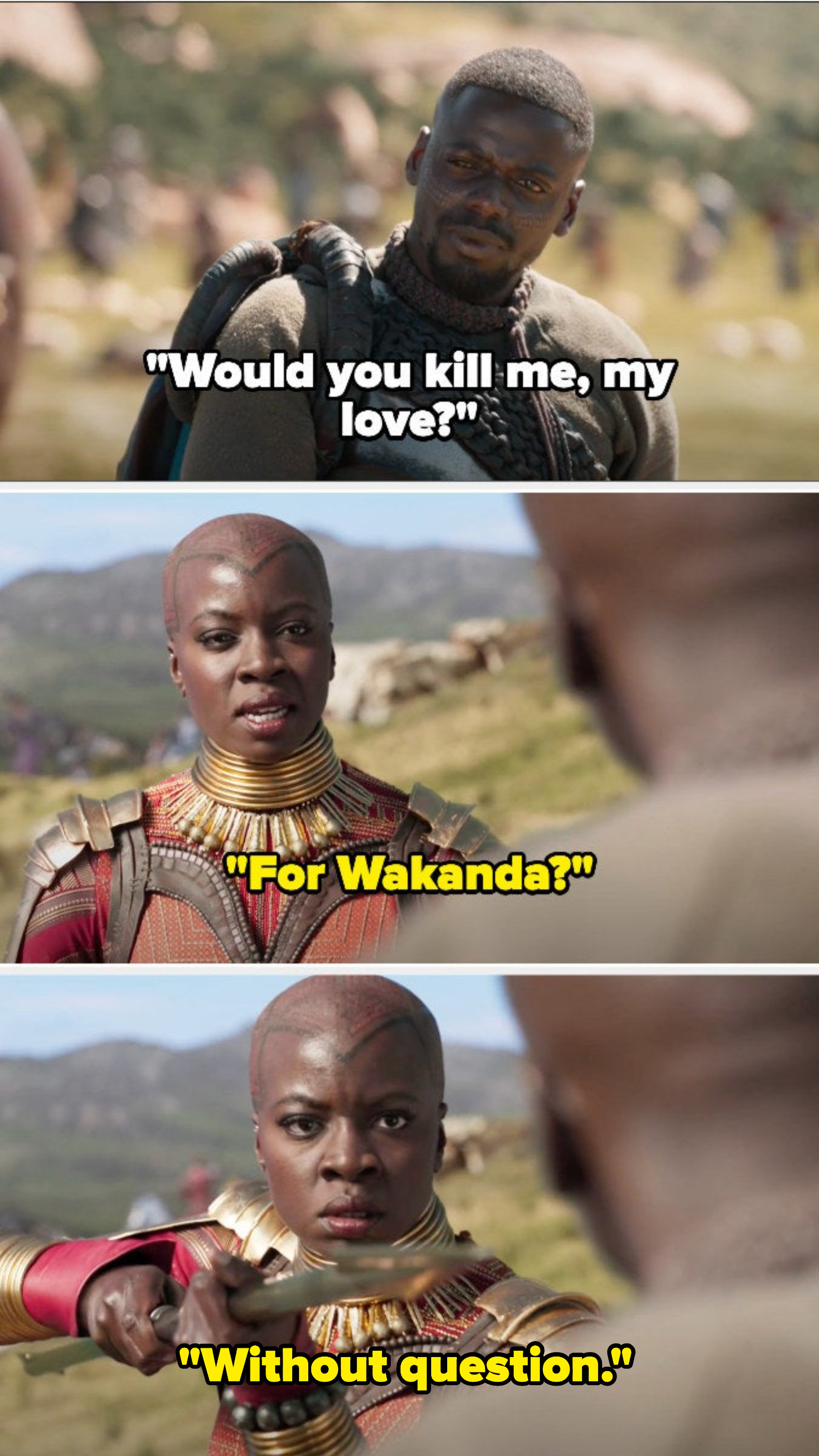 W&#x27;Kabi: &quot;Would you kill me my love?&quot; Okoye: &quot;for Wakanda? without question&quot;