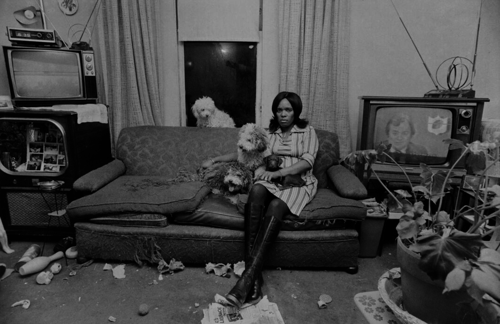 Three dogs sit next to a woman on a sofa in a deshuffled room