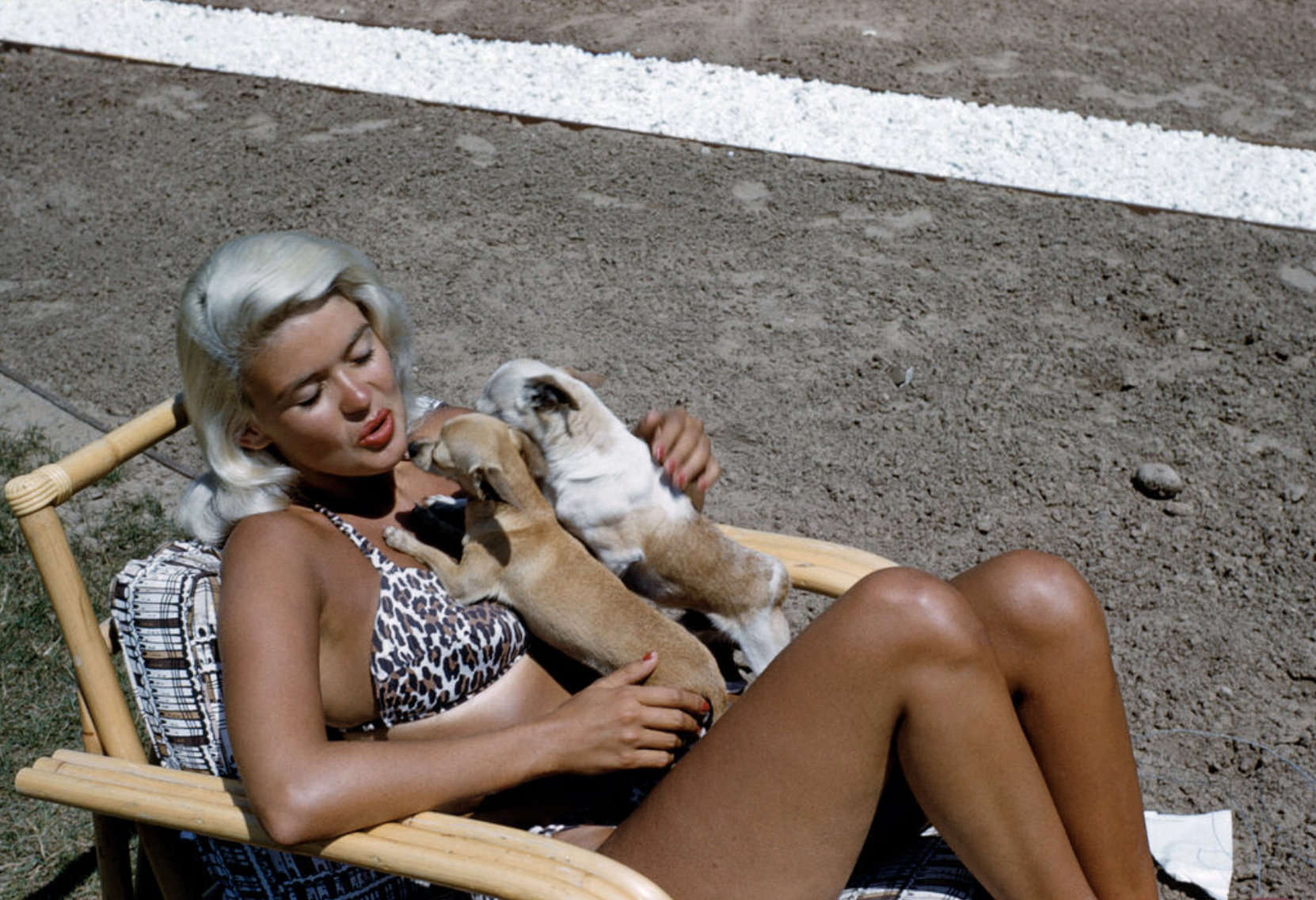 Actress Jayne Mansfield sits in a beach chair and holds two small dogs on her lap