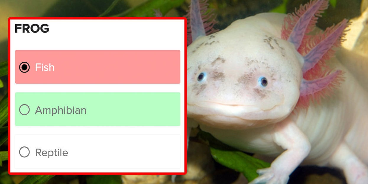 This Animal Trivia Quiz Gets Hard Really Quickly