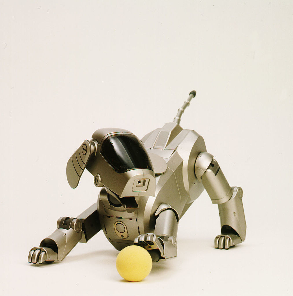 a silver robot dog