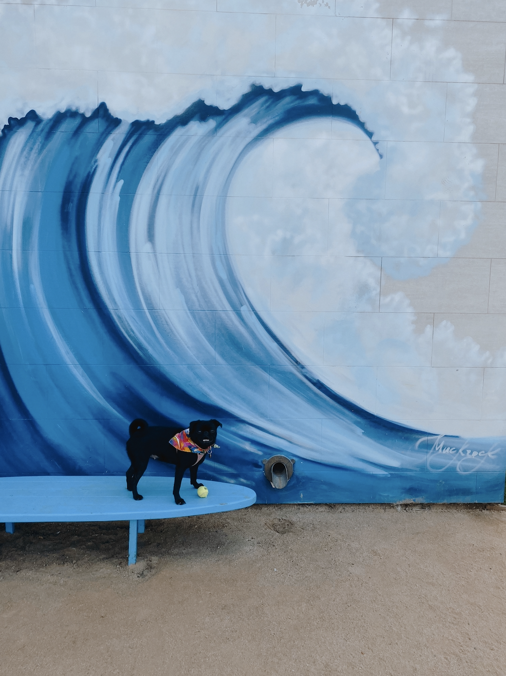 Phoebe standing on a surfboard in front of a mural of a wave
