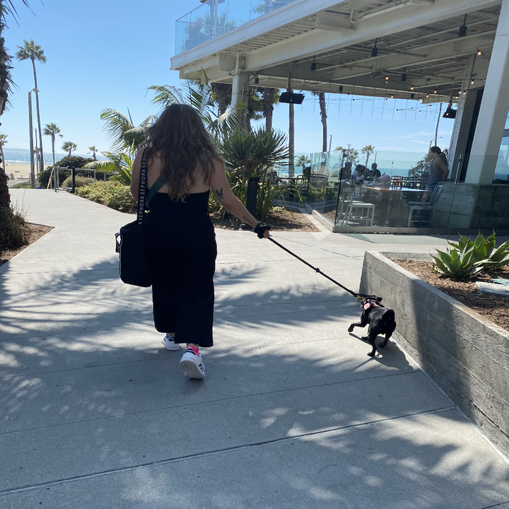 Syd and Phoebe walking around Huntington Beach