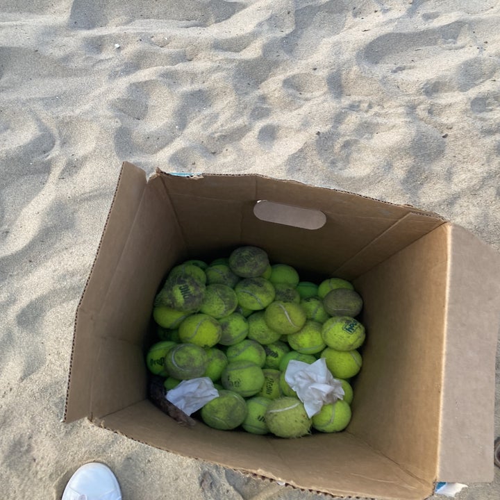 A box of communal tennis balls