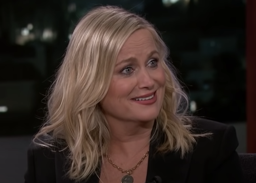 Amy Poehler being interviewed