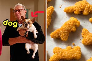 On the left, Jay from Modern Family holding his French bulldog Stella with an arrow pointing to her and dog typed next to her face, and on the right, some dino chicken nuggets
