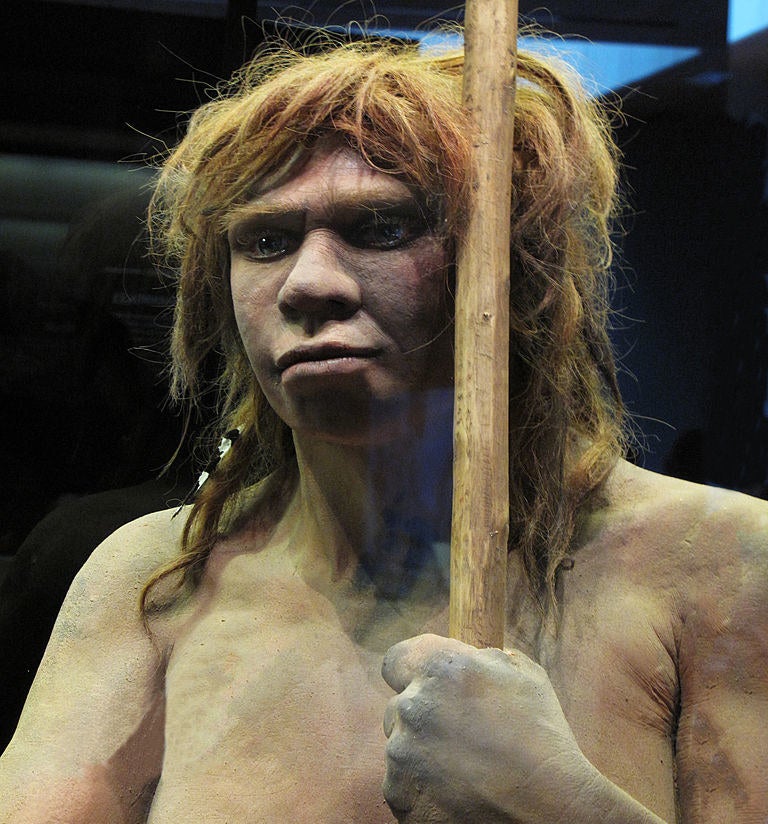 a neanderthal recreation
