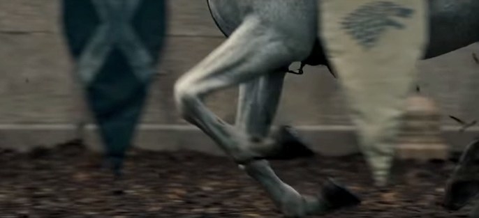 Close-up of a horse&#x27;s legs running