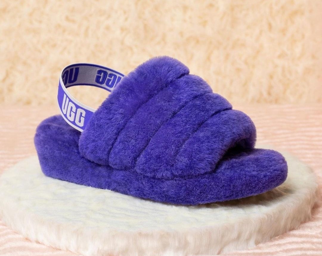 the slippers in blue