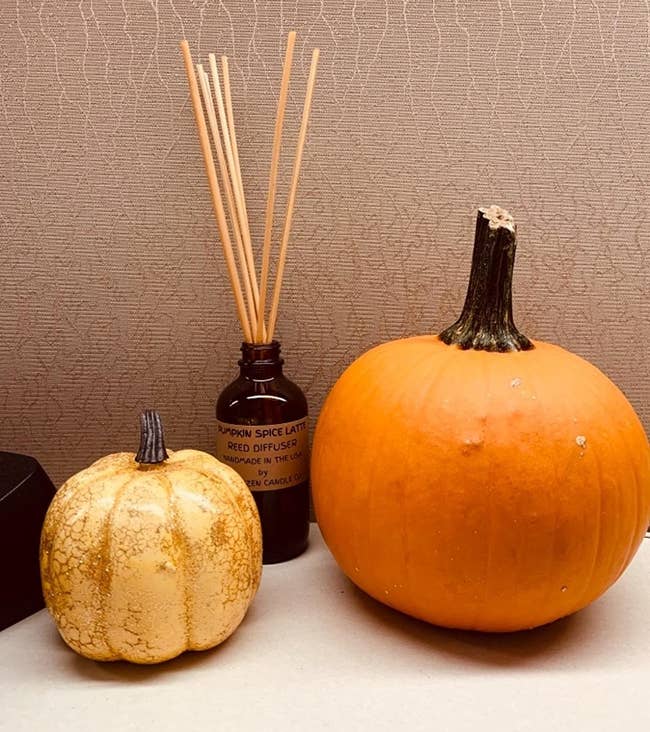 A small gold pumpkin and a larger orange pumpkin in front of a brown reed diffuser bottle that says 