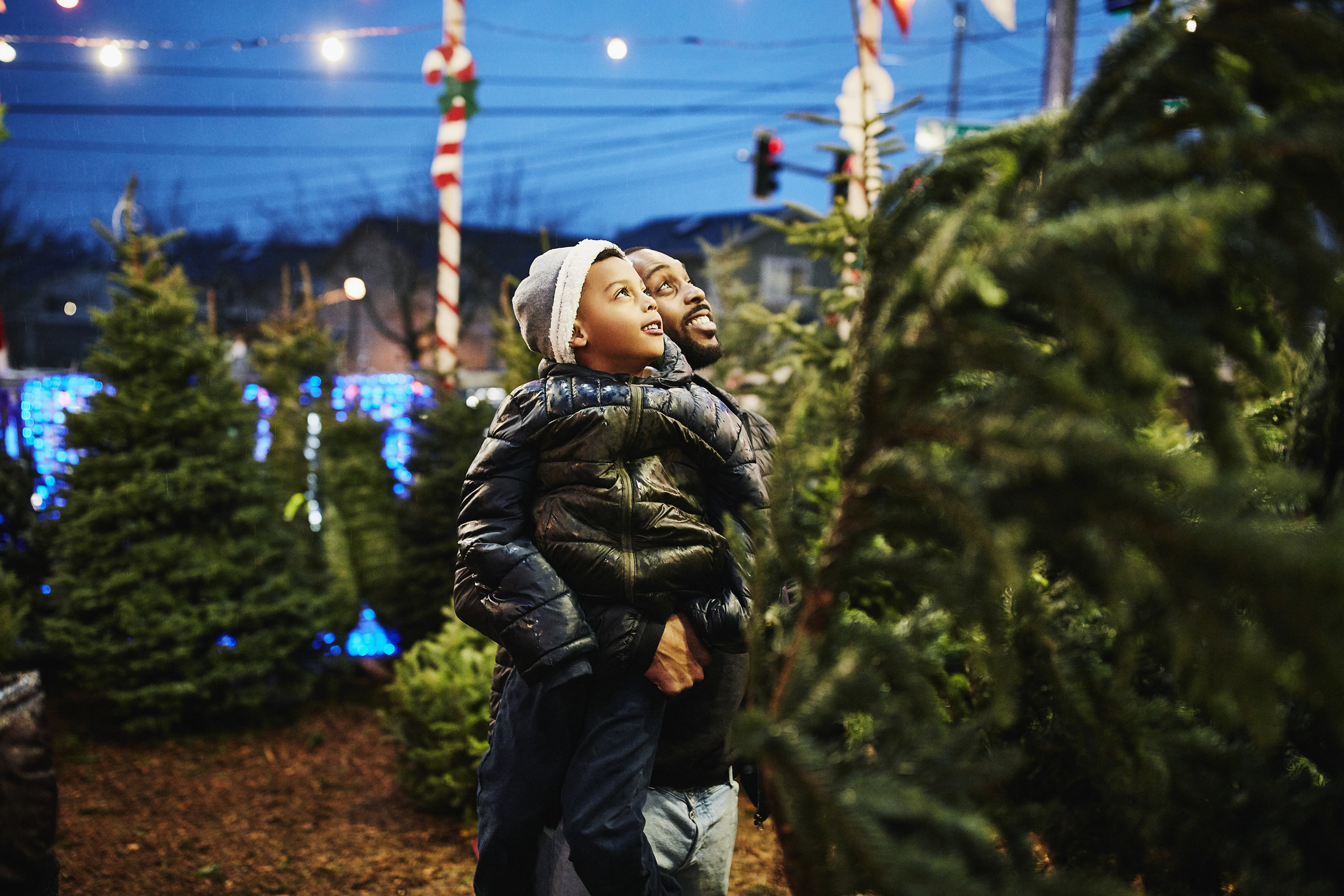 Man and his son at a Christmas tree farm