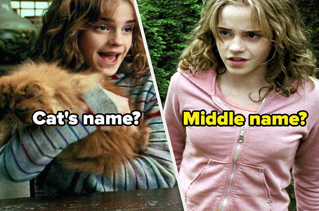 Hermione Granger holds her fluffy, Crookshanks, and Hermione Granger wears a brightly colored hooded sweater
