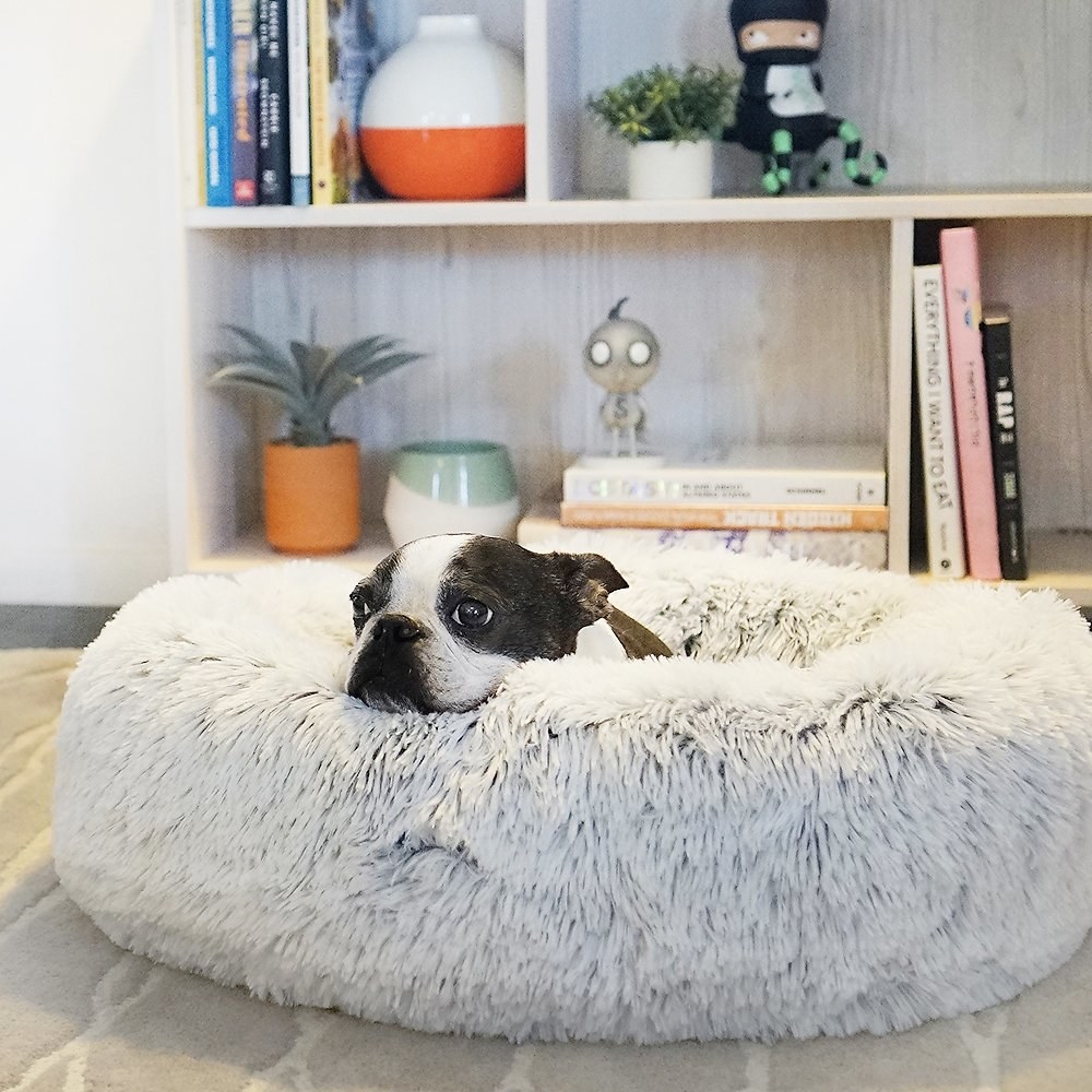 The pet bed in the color Frost