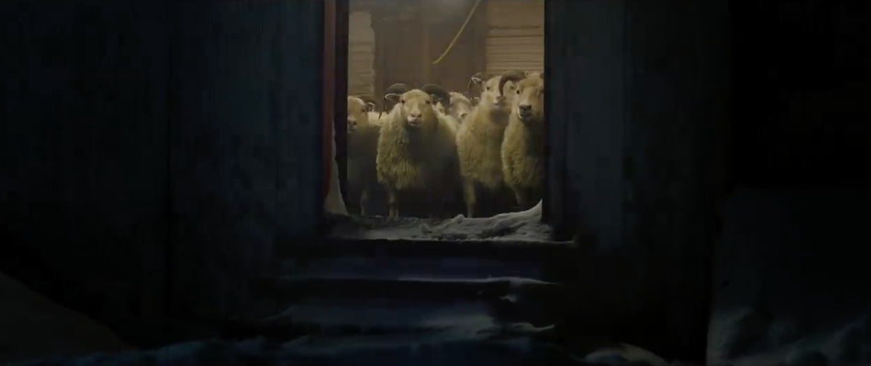 A herd of sheep inside a barn looking out into the dark of night