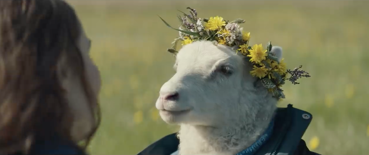 The lamb child wearing a flower crown
